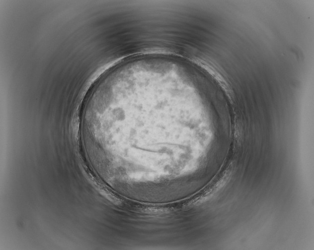 X0000112090933200909011101