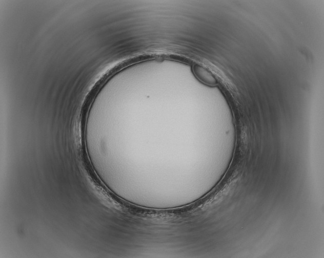 X0000112090934200909011101