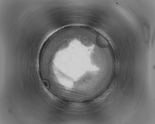 X0000112090935200909011101