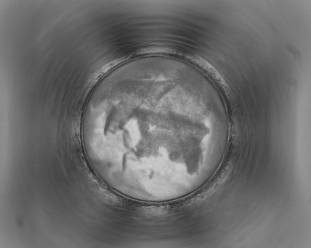 X0000112090937200909011101