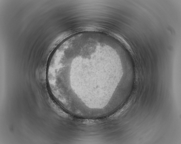 X0000112090938200909011101