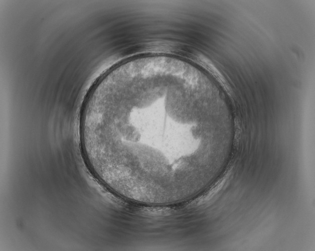 X0000112090939200909011101