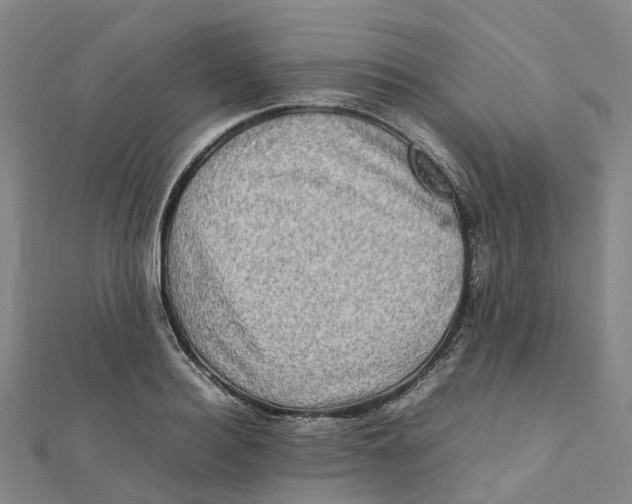 X0000112090940200909011101