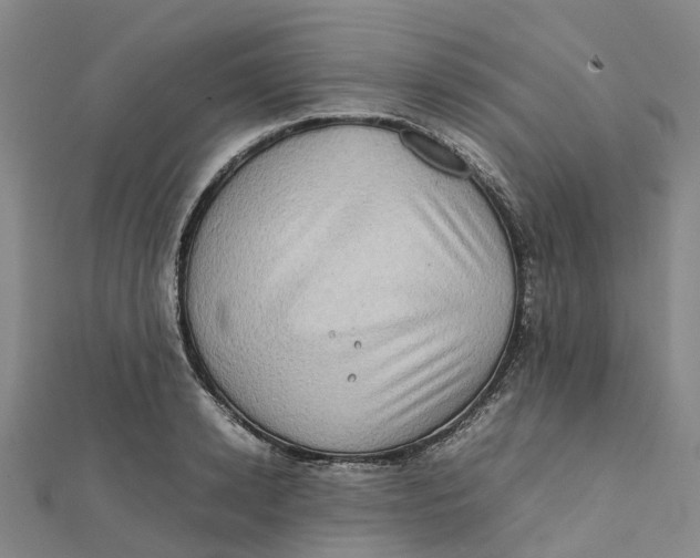 X0000112090942200909011101