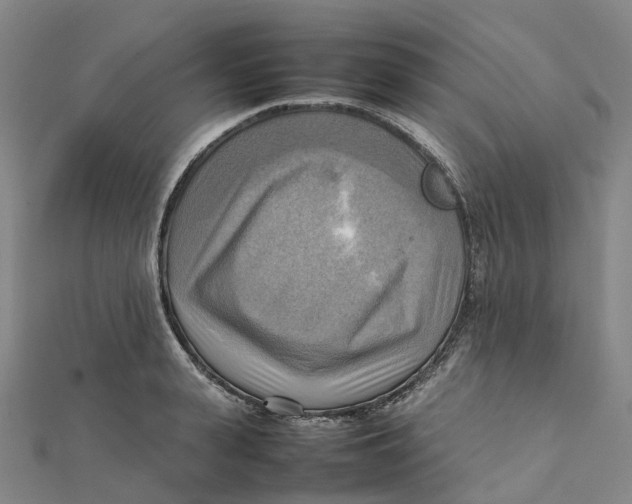 X0000112090943200909011101