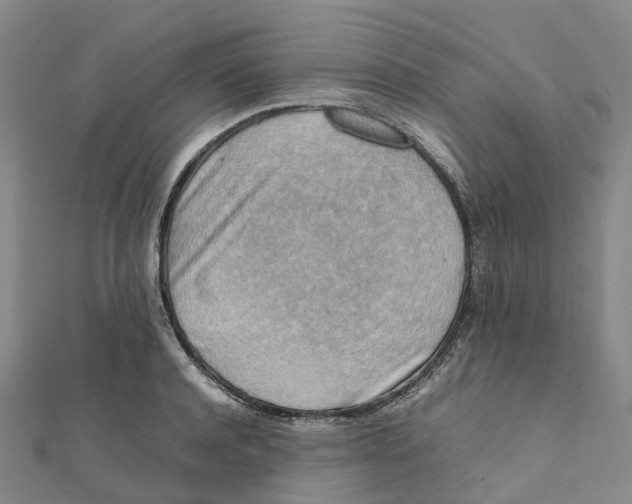 X0000112090944200909011101