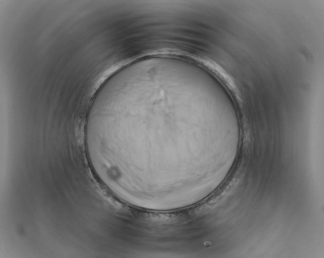 X0000112090945200909011101