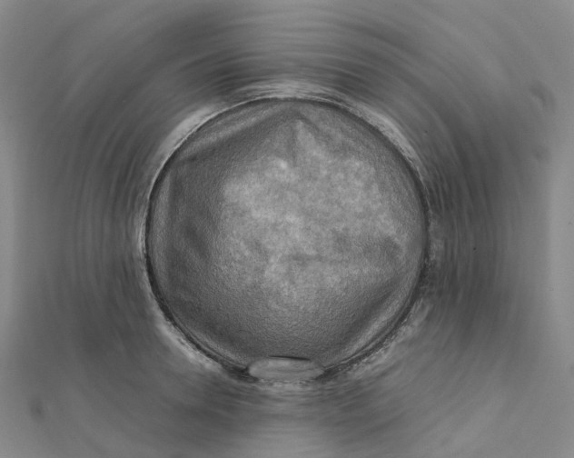 X0000112090946200909011101