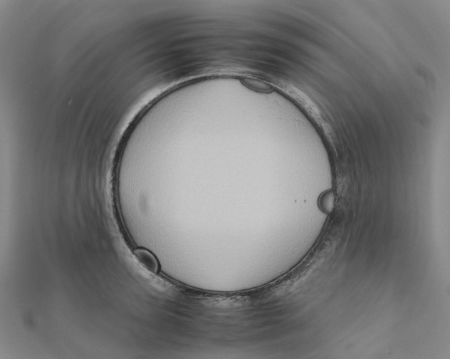 X0000112090947200909011101