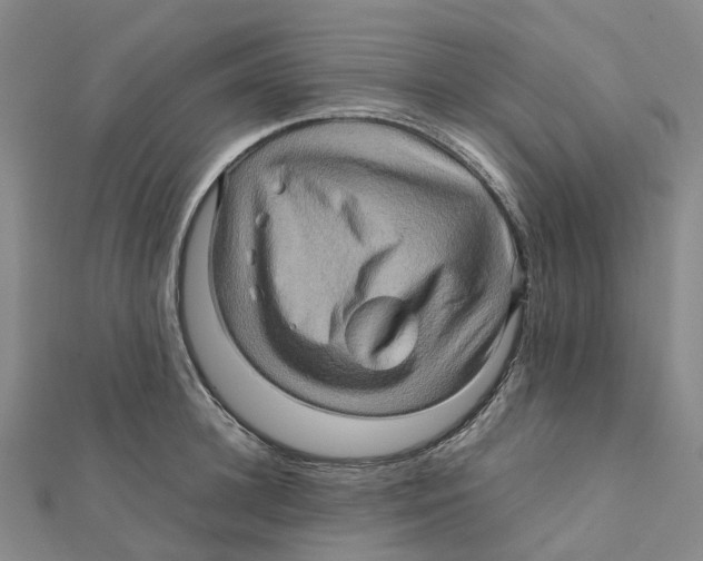 X0000112090948200909011101