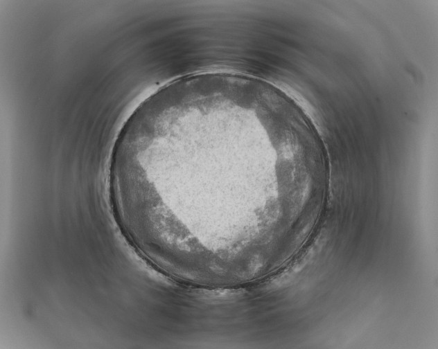 X0000112090949200909011101