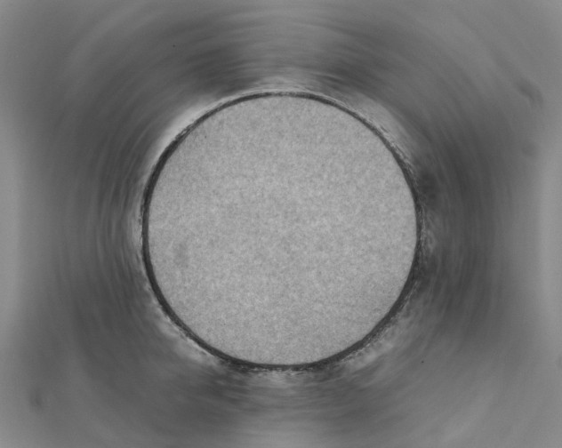 X0000112090950200909011101