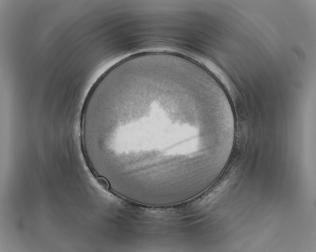 X0000112090951200909011101
