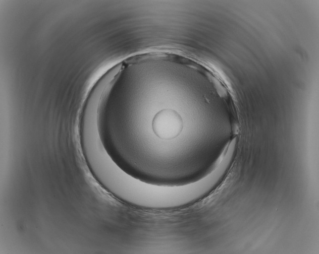 X0000112090952200909011101