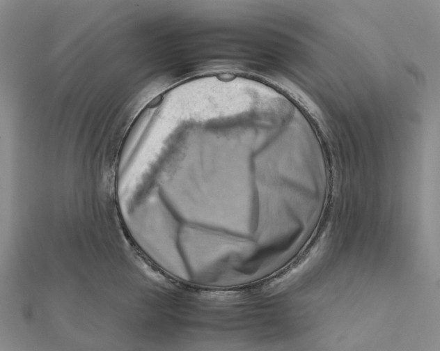 X0000112090953200909011101