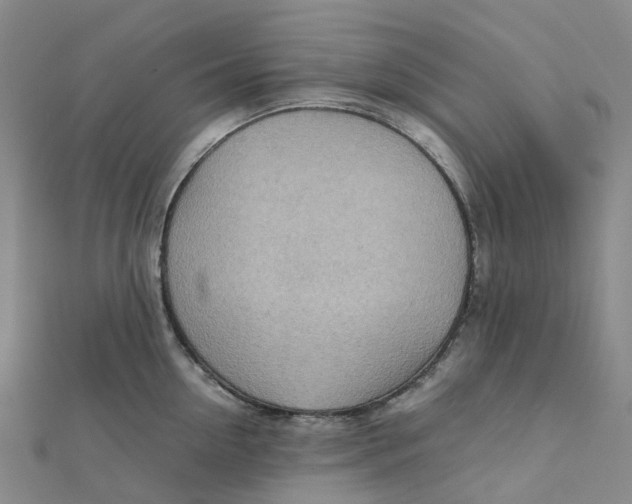 X0000112090954200909011101
