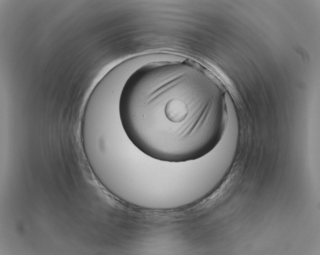 X0000112090956200909011101