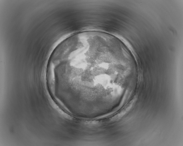 X0000112090957200909011101