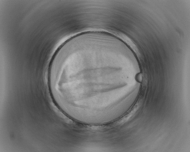 X0000112090958200909011101