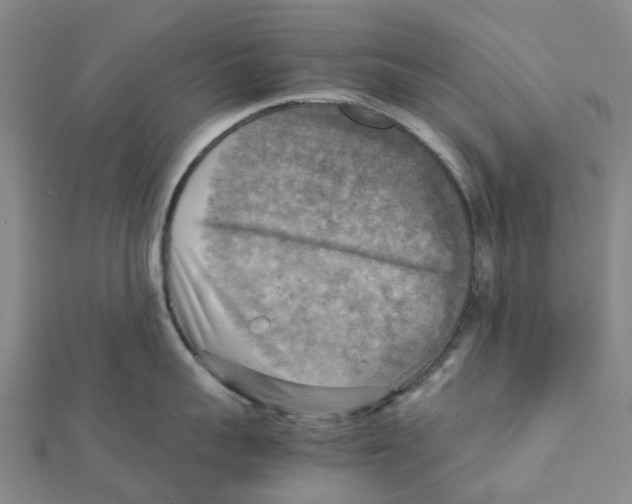 X0000112090959200909011102