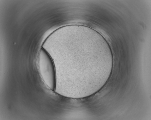 X0000112090960200909011102