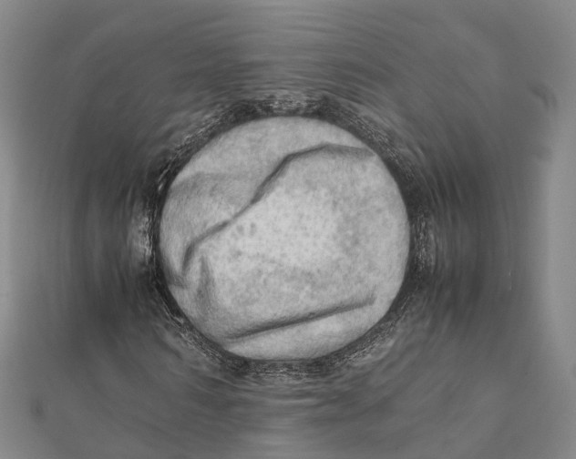 X0000112090962200909011101
