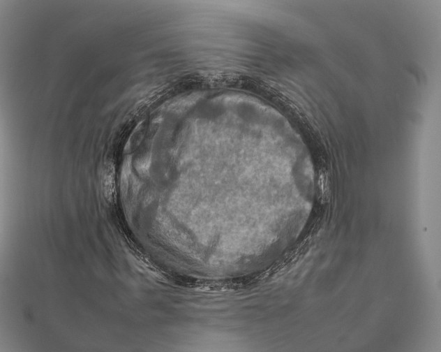 X0000112090963200909011101