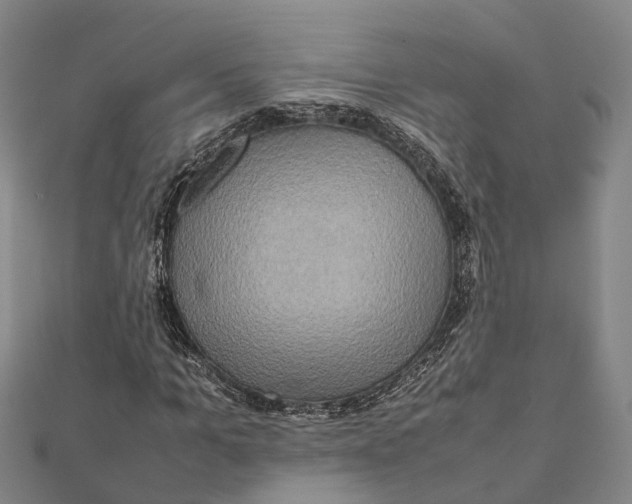 X0000112090965200909011101