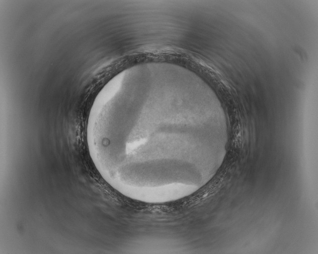 X0000112090966200909011101