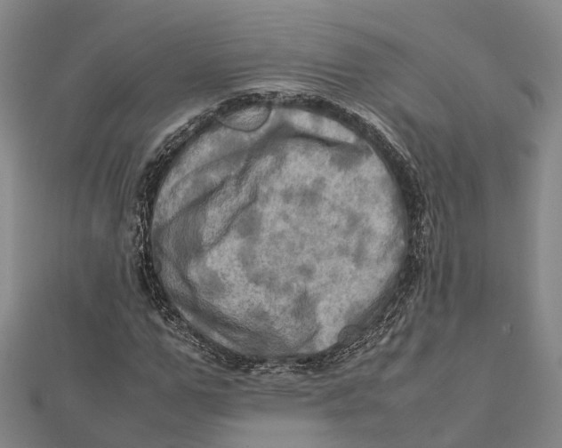 X0000112090967200909011101