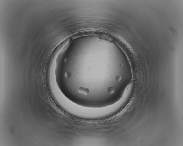X0000112090969200909011101