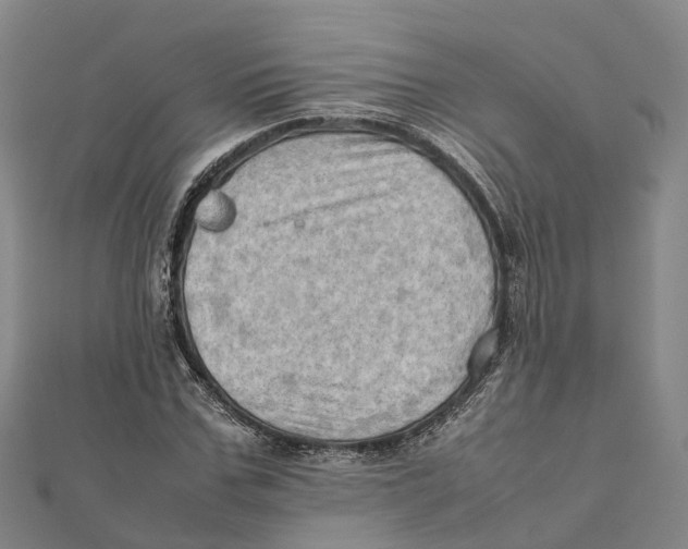 X0000112090971200909011101