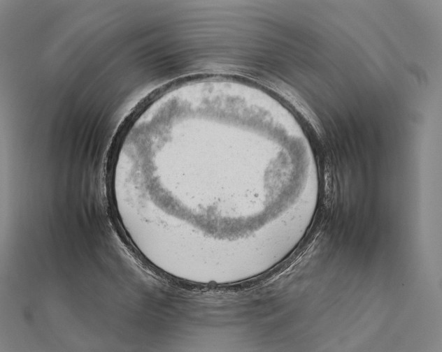 X0000112090972200909011101
