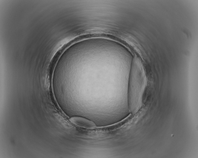 X0000112090973200909011101