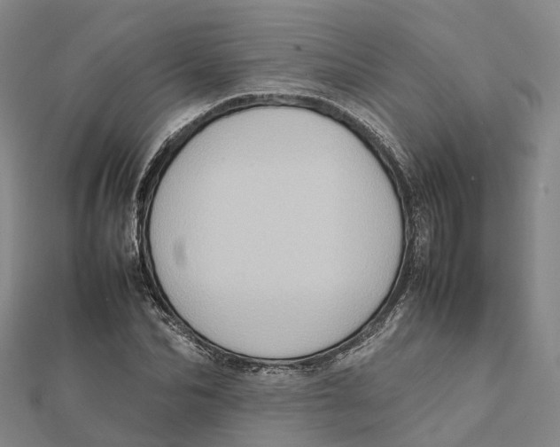 X0000112090974200909011101