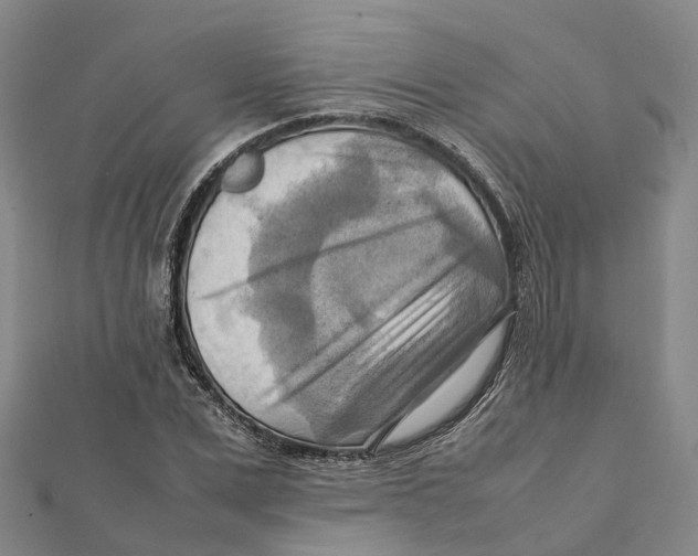 X0000112090975200909011101