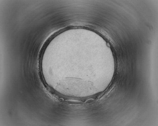X0000112090976200909011101