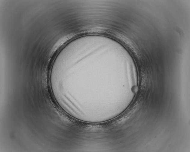 X0000112090978200909011101