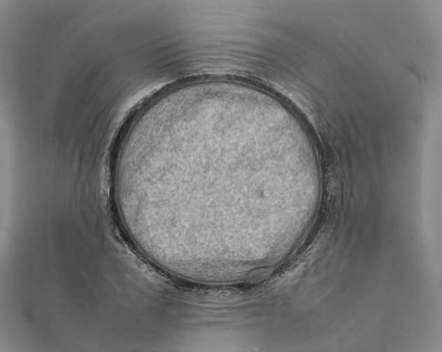 X0000112090979200909011101