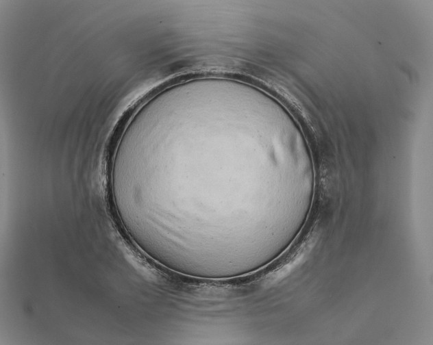 X0000112090981200909011101