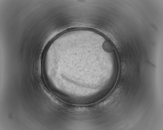 X0000112090982200909011101