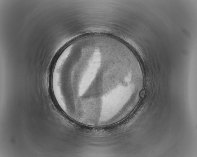 X0000112090983200909011101