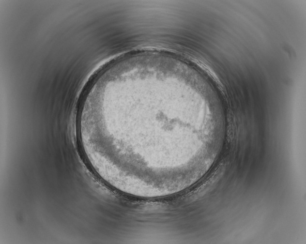 X0000112090984200909011101