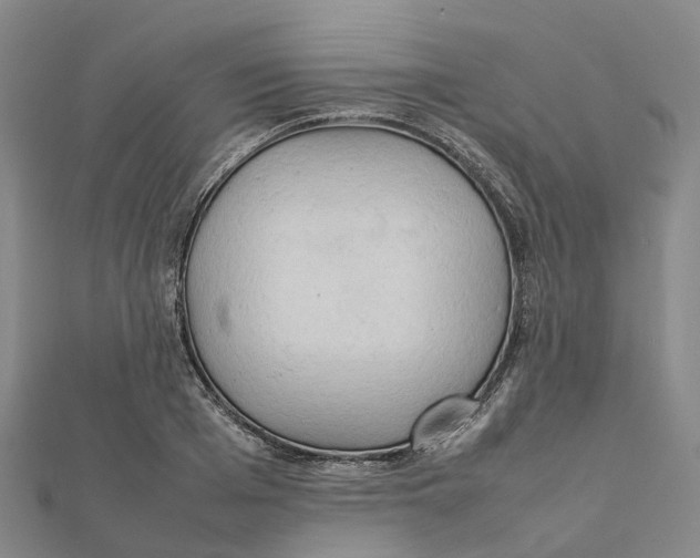 X0000112090985200909011101