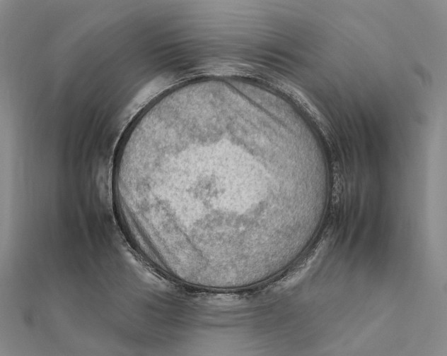 X0000112090986200909011101