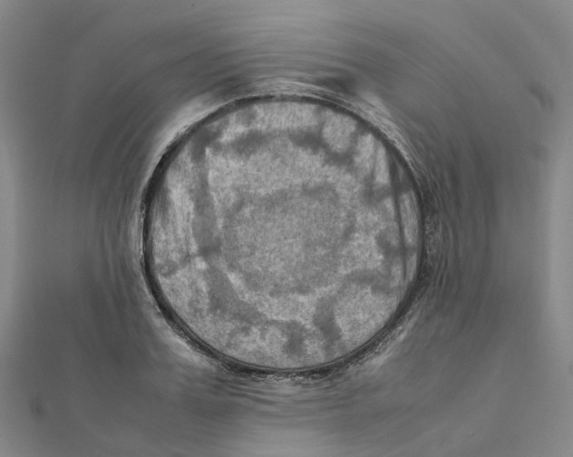 X0000112090987200909011101
