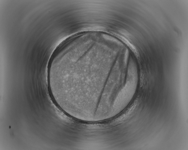 X0000112090988200909011101