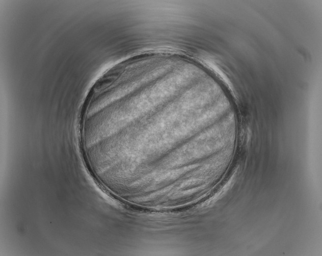 X0000112090989200909011101