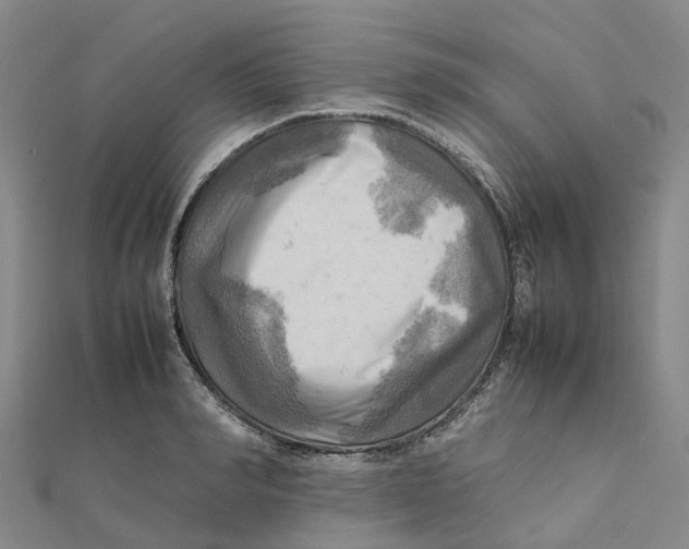 X0000112090990200909011101