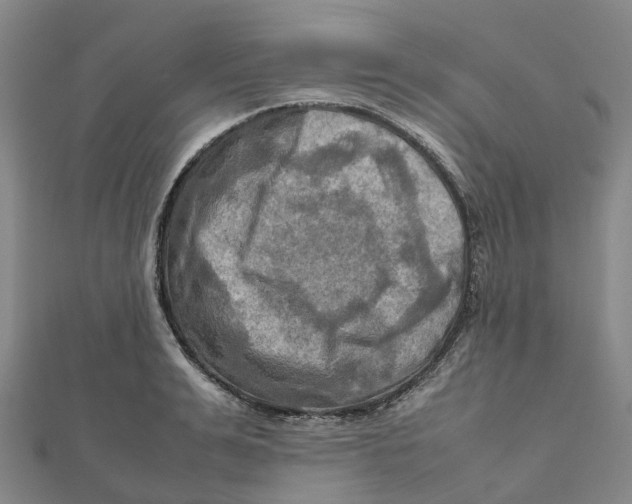 X0000112090991200909011101